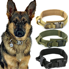 Heavy-Duty Nylon Dog Collar with Handle