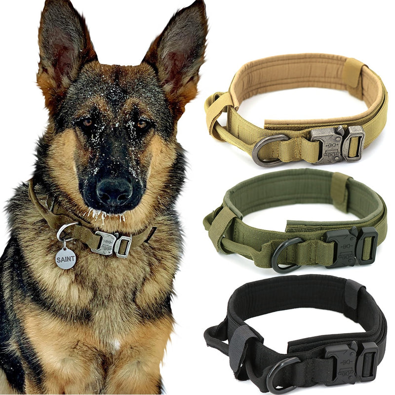 Heavy-Duty Nylon Dog Collar with Handle