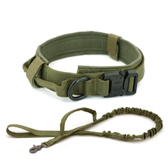 Heavy-Duty Nylon Dog Collar with Handle