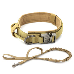 Heavy-Duty Nylon Dog Collar with Handle