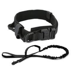 Heavy-Duty Nylon Dog Collar with Handle